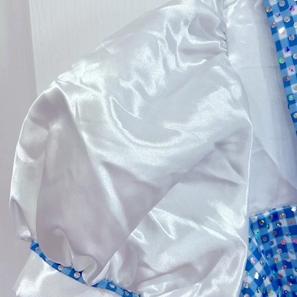 Dorothy Wizard of Oz dress size large - Picture 9 of 11